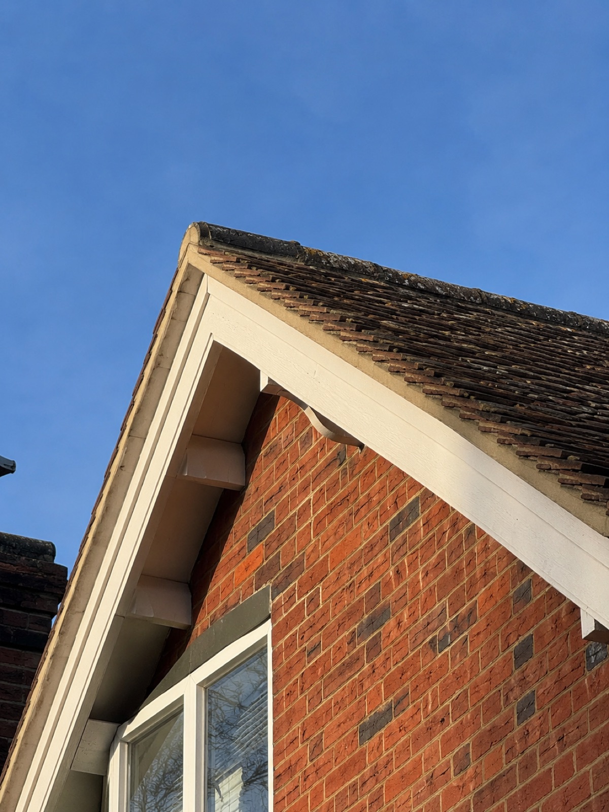 Painted timber fascia and soffit on a conservation-area property