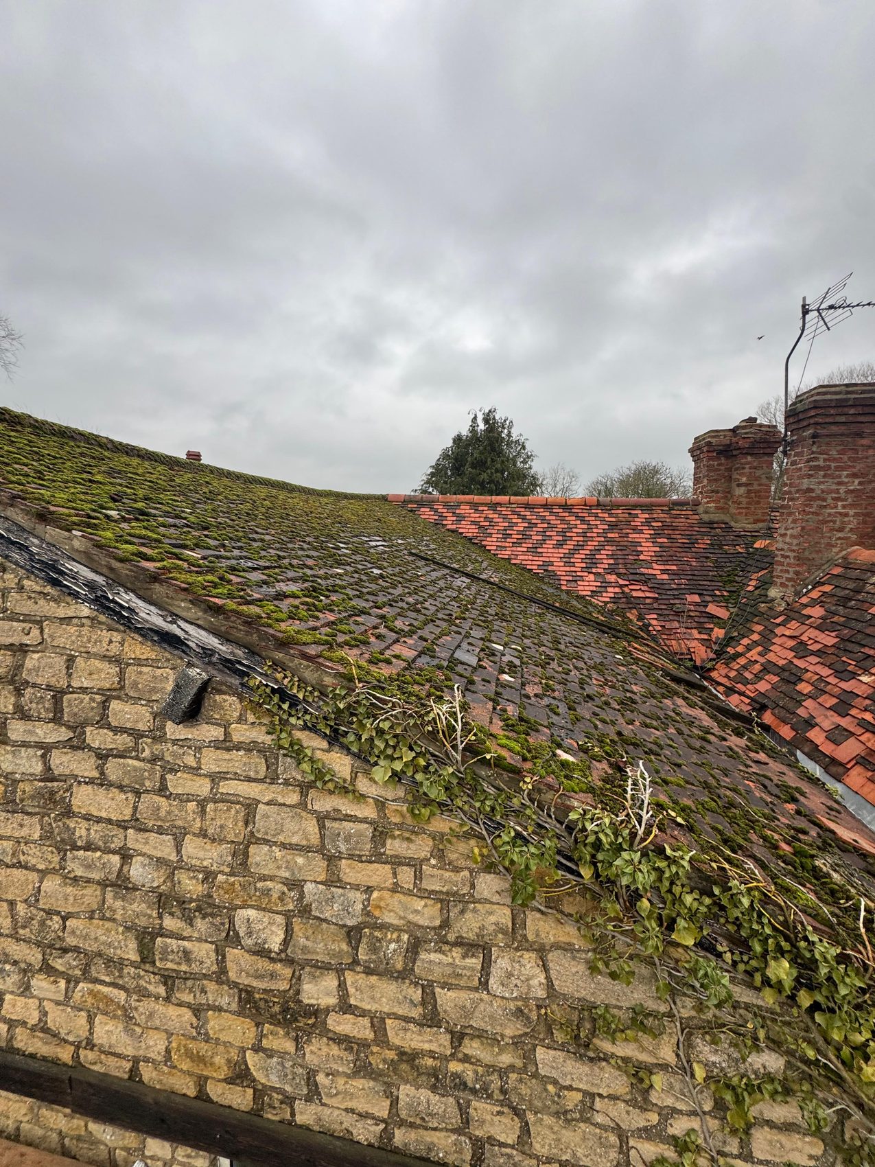 Ivy growing over the stone verge beside the moss-covered old tiles