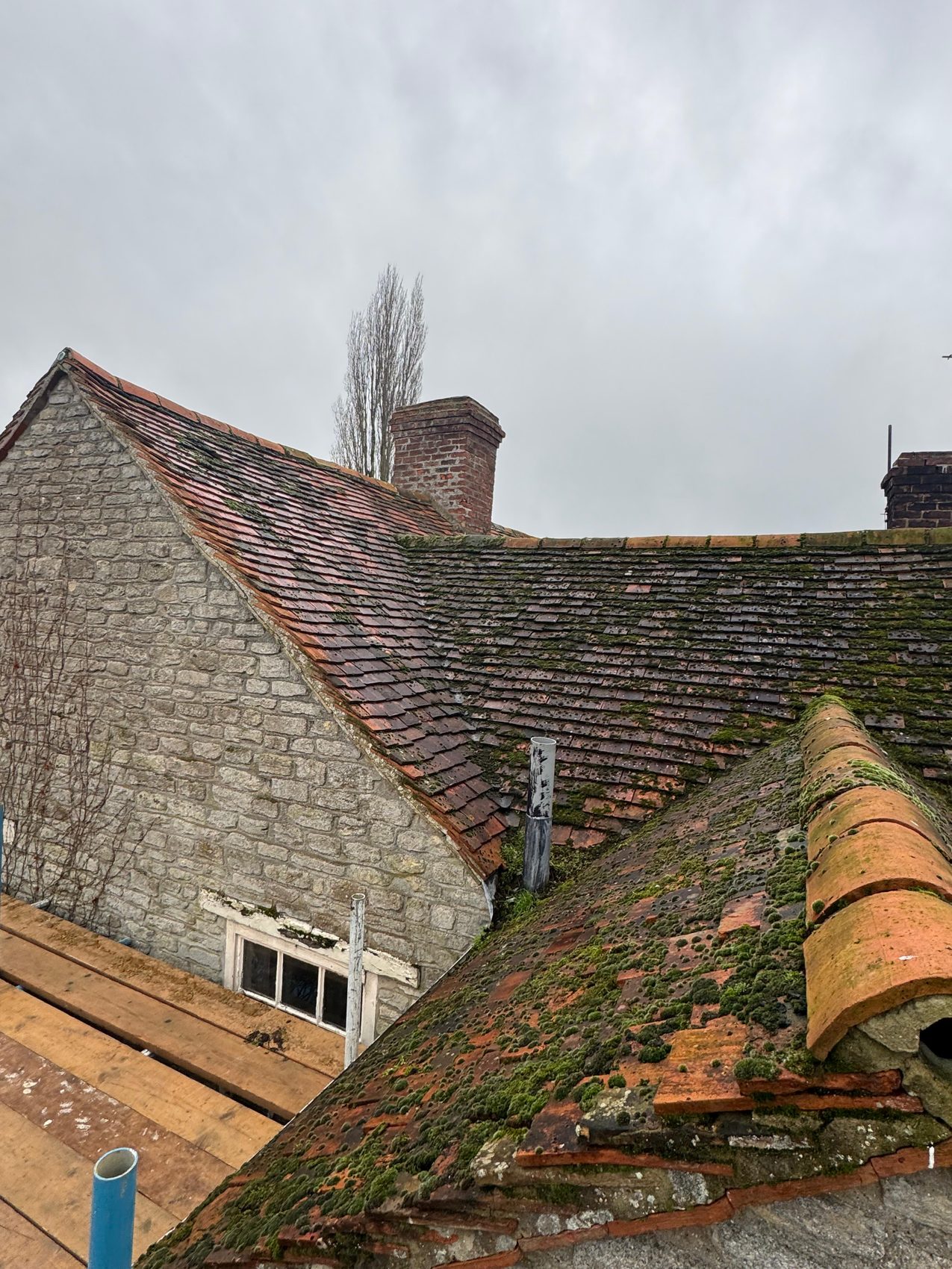 Moss covering the worn plain clay tiles of the original roof