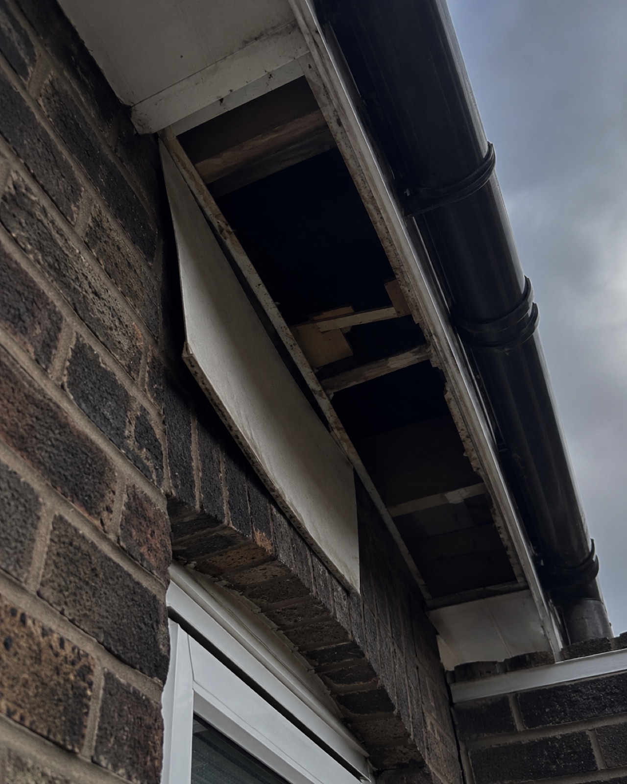 Fallen soffit panel exposing rafter feet