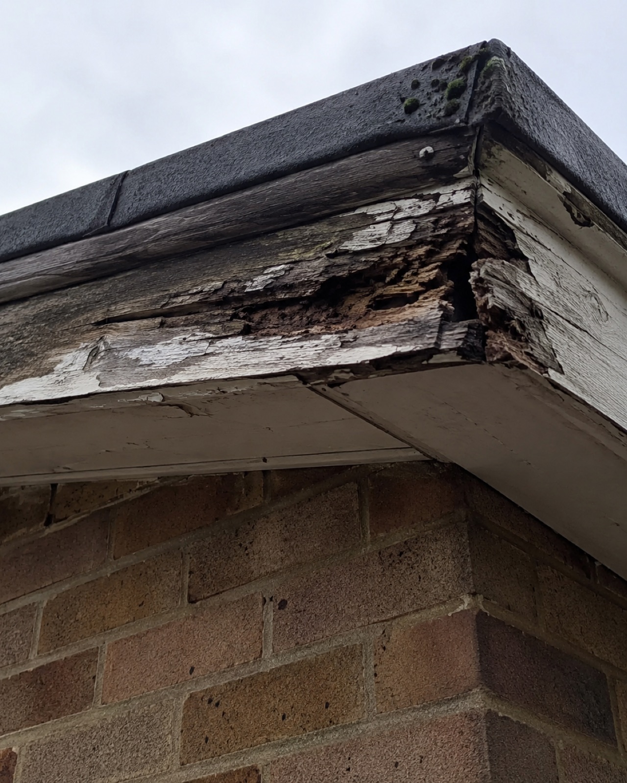 Rotten timber fascia board behind a failing gutter